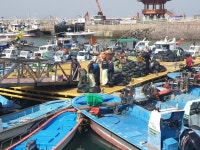 부안 변산면, 격포항 환경정화활동 전개 청결한 항구조성 앞장
