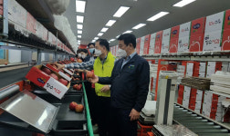 장수군 농협 임직원 사과 선별 작업  농촌일손돕기 펼쳐