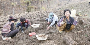 천마로 부농의 꿈 이룬다