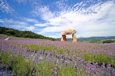 우수 관광자원 적극 활용 향기·힐링 도시 박차