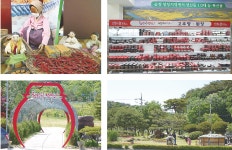 순창군, 천년의 장맛 입 호강·눈 호사