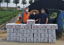 한전 장수지사, 비트 재배농가 일손돕기 및 현장 구매
