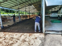 장수한우지방공사, 깨끗한 축사만들기 봉사활동