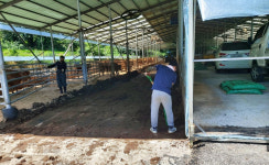 장수한우지방공사, 깨끗한 축사만들기 봉사활동
