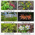 전북도 산림환경연구소 희귀식물 보전