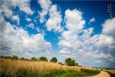 춘포나루터 가는 길