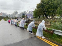 익산 동산동 통장협의회, 가을꽃 식재 아름다운 꽃길 조성