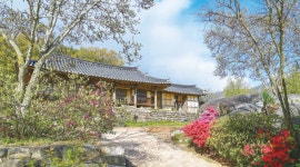 전통과 현대의 아름다운 공존