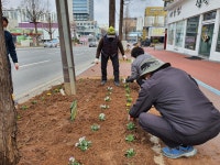 전북 군산중앙신협 한수레봉사회, 군산시와 연계 나운3동 대로변 일대 꽃길 조성 봉사활동 진행