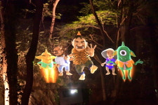 강천산군립공원 7일부터 야간개장 재개