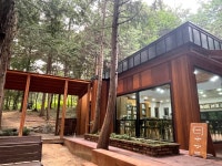전주 건지산숲속작은도서관, 자연 속 책놀이터로 변신