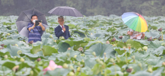 빗방울 떨어지는 처서에 덕진공원 산책하는 시민들