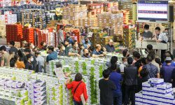 추석 대목 맞아 경매 하는 상인들로 붐비는 전주농수산물도매시장