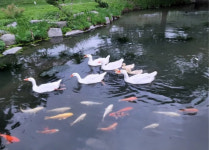 장수군, 장계 공공하수처리장 친환경 시설로 변모