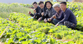 [11월 11일 농업인의 날]텃밭 수확 통해 보람 찾아요 텃밭 가꾸는 사람들