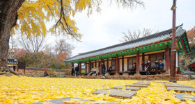 [전북] 만추(晩秋)에 빠진 전주향교