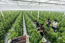 김제 스마트팜 혁신밸리 핵심 시설 탐방