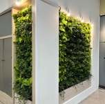 [전북]전주시 완산구청 민원지적과 친환경 공간 탈바꿈