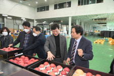 최훈식 군수, 설명절 앞두고 장수사과 수급 현장방문