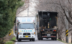 벚꽃철을 앞두고 방치된 벚꽃명소