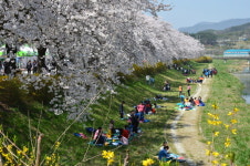 순창군,제20회 옥천골 벚꽃축제안전사고 적극 대비 나서