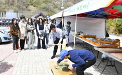 장수군, 2023 논개골 낭만 벚꽃축제 성료