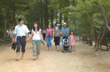 맨발로 걷기 좋은 순창 강천산에서 녹색 숲 힐링바람을 느껴보세요