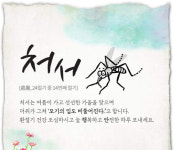 힘 빠지는 처서