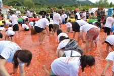 제17회 장수 한우랑 사과랑 축제 환호 속 성료