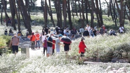 정읍 구철초 꽃축제 5일부터 11일간 얄린다