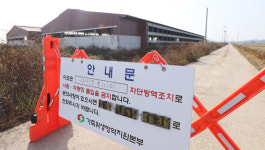 전북, 첫 럼피스킨병 확진