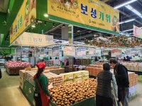 보성군, 명품 보성키위 날개 달고 전국으로 비상
