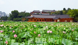 [창간특집]한옥마을 너머 전주 관광 새바람 분다