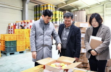 최훈식 군수, 설 명절 앞두고 사과 수급 상황 현장 점검