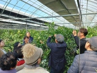 고흥군, 품목별 한라봉연구회 기술교육 추진