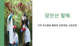 장수군, 2024년 장수 청년 레벨업(Level Up) 사업 3개소 최종 선정