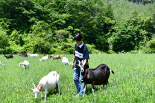 장수군, 2024년 장수 청년 레벨업(Level Up) 사업 3개소 최종 선정