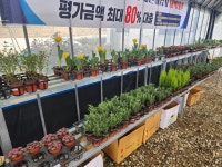 익산산림조합, 새봄 맞이 나무시장 개장