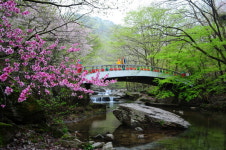 순창군, 오는 4월부터 강천산·용궐산 하늘길 무료입장 65세→70세로 상향