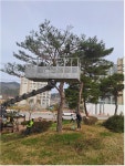임실군, 생활체육공원 쾌적한 수목 환경 조성