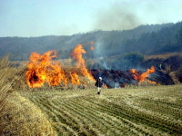 부안소방서, 봄철 화재 대비 논·밭두렁 소각 자제 당부