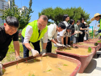 전북농협, 전주동초등학교 학생들과 도심 속 모내기 행사 실시