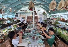 장수군, 치매·아동센터 유관기관 연계 치유프로그램 실시