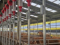 정읍시 28일까지 축산경영 지원사업 수요조사 진행