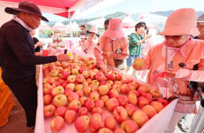 제18회 장수 사과랑 한우랑 축제 레드푸드