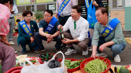 보성군, 김철우 군수 지역 국회의원과 추석맞이 전통시장 장보기