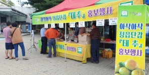 10월의 과일 정읍 태추단감 고속도로 휴게소에서 만나요