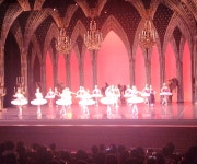 한국 발레의 메카, 유니버설 발레단  주니어 컴퍼니 제11회 정기공연- 감동 무대