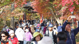 늦게 핀 단풍, 기다린 보람이 있네요...단풍 절정 내장산 북적북적
