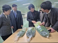 진도군, 진도 대파 스마트농업기술 적용 계약재배 확대